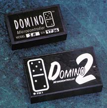 Domino Modules